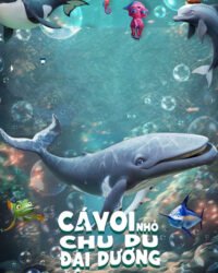 Cá Voi Nhỏ Chu Du Đại Dương